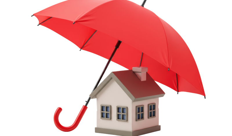 Tips for Filing a Successful Home Insurance Claim